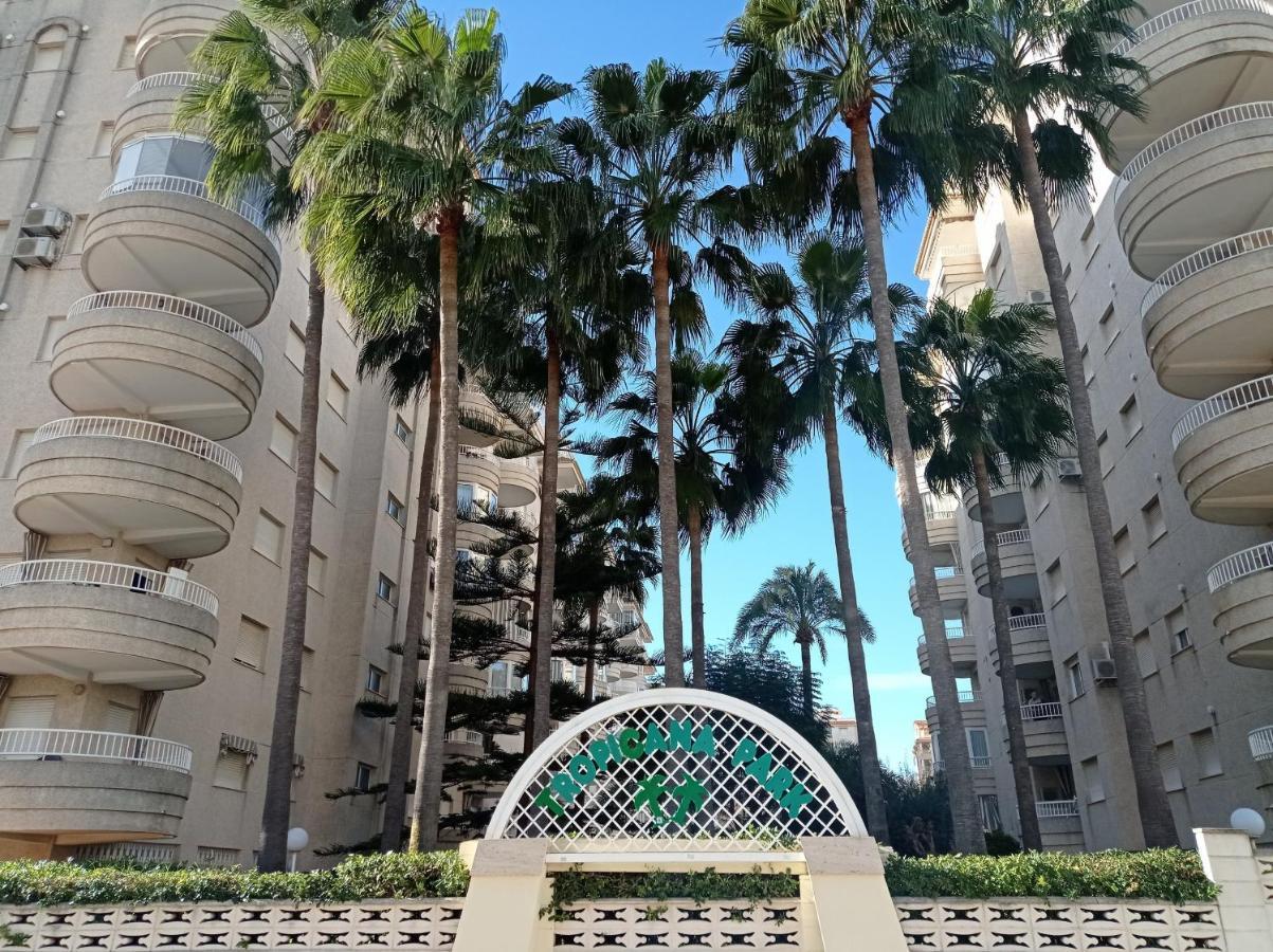 Tropicana Park Solo Familias Serviplaya Gandía Exteriör bild